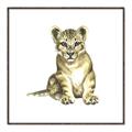 Picture of Little Lion _GroupedProduct_Square_Mini_ _GroupedProduct_Square_Canvas_Framed_