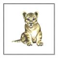 Picture of Little Lion _GroupedProduct_Square_Mini_ _GroupedProduct_Square_Canvas_Framed_