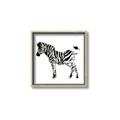 Picture of Little Zebra _GroupedProduct_Square_Mini_ _GroupedProduct_Square_Canvas_Framed_