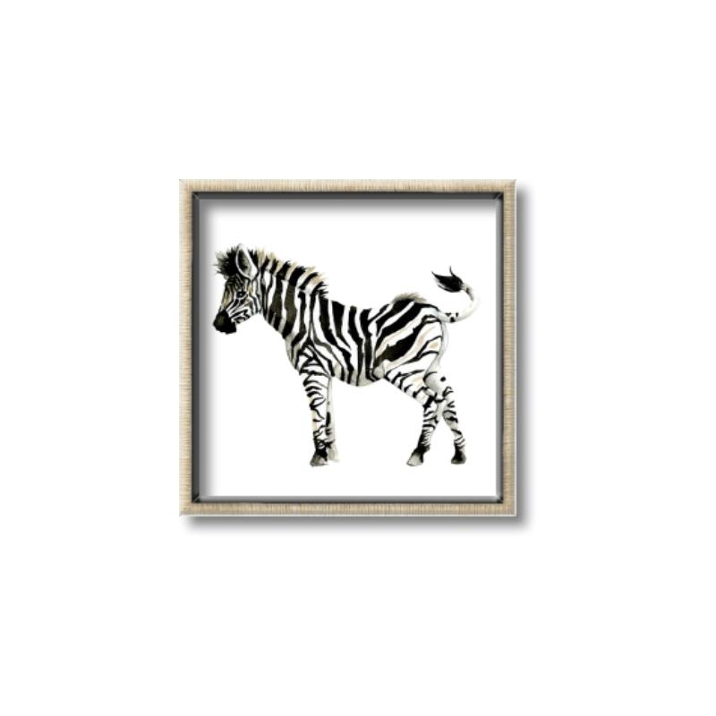 Picture of Little Zebra _GroupedProduct_Square_Mini_ _GroupedProduct_Square_Canvas_Framed_