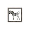 Picture of Little Zebra _GroupedProduct_Square_Mini_ _GroupedProduct_Square_Canvas_Framed_