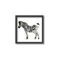 Picture of Little Zebra _GroupedProduct_Square_Mini_ _GroupedProduct_Square_Canvas_Framed_