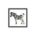 Picture of Little Zebra _GroupedProduct_Square_Mini_ _GroupedProduct_Square_Canvas_Framed_