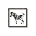 Picture of Little Zebra _GroupedProduct_Square_Mini_ _GroupedProduct_Square_Canvas_Framed_