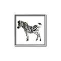 Picture of Little Zebra _GroupedProduct_Square_Mini_ _GroupedProduct_Square_Canvas_Framed_