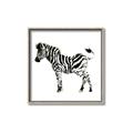 Picture of Little Zebra _GroupedProduct_Square_Mini_ _GroupedProduct_Square_Canvas_Framed_