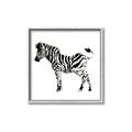 Picture of Little Zebra _GroupedProduct_Square_Mini_ _GroupedProduct_Square_Canvas_Framed_