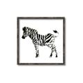 Picture of Little Zebra _GroupedProduct_Square_Mini_ _GroupedProduct_Square_Canvas_Framed_