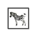 Picture of Little Zebra _GroupedProduct_Square_Mini_ _GroupedProduct_Square_Canvas_Framed_