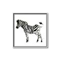 Picture of Little Zebra _GroupedProduct_Square_Mini_ _GroupedProduct_Square_Canvas_Framed_