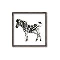 Picture of Little Zebra _GroupedProduct_Square_Mini_ _GroupedProduct_Square_Canvas_Framed_