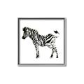 Picture of Little Zebra _GroupedProduct_Square_Mini_ _GroupedProduct_Square_Canvas_Framed_
