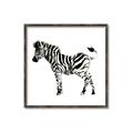 Picture of Little Zebra _GroupedProduct_Square_Mini_ _GroupedProduct_Square_Canvas_Framed_