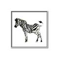 Picture of Little Zebra _GroupedProduct_Square_Mini_ _GroupedProduct_Square_Canvas_Framed_