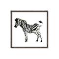 Picture of Little Zebra _GroupedProduct_Square_Mini_ _GroupedProduct_Square_Canvas_Framed_