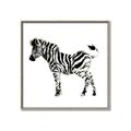 Picture of Little Zebra _GroupedProduct_Square_Mini_ _GroupedProduct_Square_Canvas_Framed_