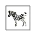 Picture of Little Zebra _GroupedProduct_Square_Mini_ _GroupedProduct_Square_Canvas_Framed_