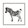 Picture of Little Zebra _GroupedProduct_Square_Mini_ _GroupedProduct_Square_Canvas_Framed_