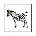 Picture of Little Zebra _GroupedProduct_Square_Mini_ _GroupedProduct_Square_Canvas_Framed_