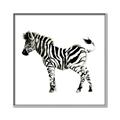 Picture of Little Zebra _GroupedProduct_Square_Mini_ _GroupedProduct_Square_Canvas_Framed_