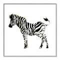 Picture of Little Zebra _GroupedProduct_Square_Mini_ _GroupedProduct_Square_Canvas_Framed_