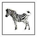 Picture of Little Zebra _GroupedProduct_Square_Mini_ _GroupedProduct_Square_Canvas_Framed_
