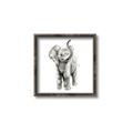 Picture of Little Elephant _GroupedProduct_Square_Mini_ _GroupedProduct_Square_Canvas_Framed_