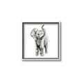 Picture of Little Elephant _GroupedProduct_Square_Mini_ _GroupedProduct_Square_Canvas_Framed_