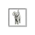 Picture of Little Elephant _GroupedProduct_Square_Mini_ _GroupedProduct_Square_Canvas_Framed_