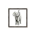 Picture of Little Elephant _GroupedProduct_Square_Mini_ _GroupedProduct_Square_Canvas_Framed_