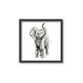 Picture of Little Elephant _GroupedProduct_Square_Mini_ _GroupedProduct_Square_Canvas_Framed_