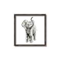 Picture of Little Elephant _GroupedProduct_Square_Mini_ _GroupedProduct_Square_Canvas_Framed_