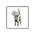 Picture of Little Elephant _GroupedProduct_Square_Mini_ _GroupedProduct_Square_Canvas_Framed_