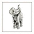 Picture of Little Elephant _GroupedProduct_Square_Mini_ _GroupedProduct_Square_Canvas_Framed_