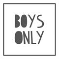 Picture of Boys Only  _GroupedProduct_Square_Mini_ _GroupedProduct_Square_Canvas_Framed_