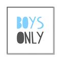 Picture of Boys Only Blue _GroupedProduct_Square_Mini_ _GroupedProduct_Square_Canvas_Framed_