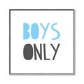 Picture of Boys Only Blue _GroupedProduct_Square_Mini_ _GroupedProduct_Square_Canvas_Framed_