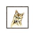 Picture of Woodland Wolf _GroupedProduct_Square_Mini_ _GroupedProduct_Square_Canvas_Framed_