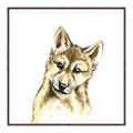 Picture of Woodland Wolf _GroupedProduct_Square_Mini_ _GroupedProduct_Square_Canvas_Framed_
