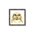 Picture of Woodland Bunny  _GroupedProduct_Square_Mini_ _GroupedProduct_Square_Canvas_Framed_