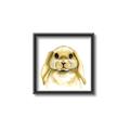 Picture of Woodland Bunny  _GroupedProduct_Square_Mini_ _GroupedProduct_Square_Canvas_Framed_