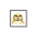 Picture of Woodland Bunny  _GroupedProduct_Square_Mini_ _GroupedProduct_Square_Canvas_Framed_