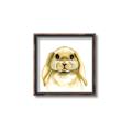 Picture of Woodland Bunny  _GroupedProduct_Square_Mini_ _GroupedProduct_Square_Canvas_Framed_