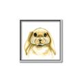 Picture of Woodland Bunny  _GroupedProduct_Square_Mini_ _GroupedProduct_Square_Canvas_Framed_