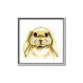 Picture of Woodland Bunny  _GroupedProduct_Square_Mini_ _GroupedProduct_Square_Canvas_Framed_
