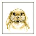 Picture of Woodland Bunny  _GroupedProduct_Square_Mini_ _GroupedProduct_Square_Canvas_Framed_