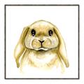Picture of Woodland Bunny  _GroupedProduct_Square_Mini_ _GroupedProduct_Square_Canvas_Framed_