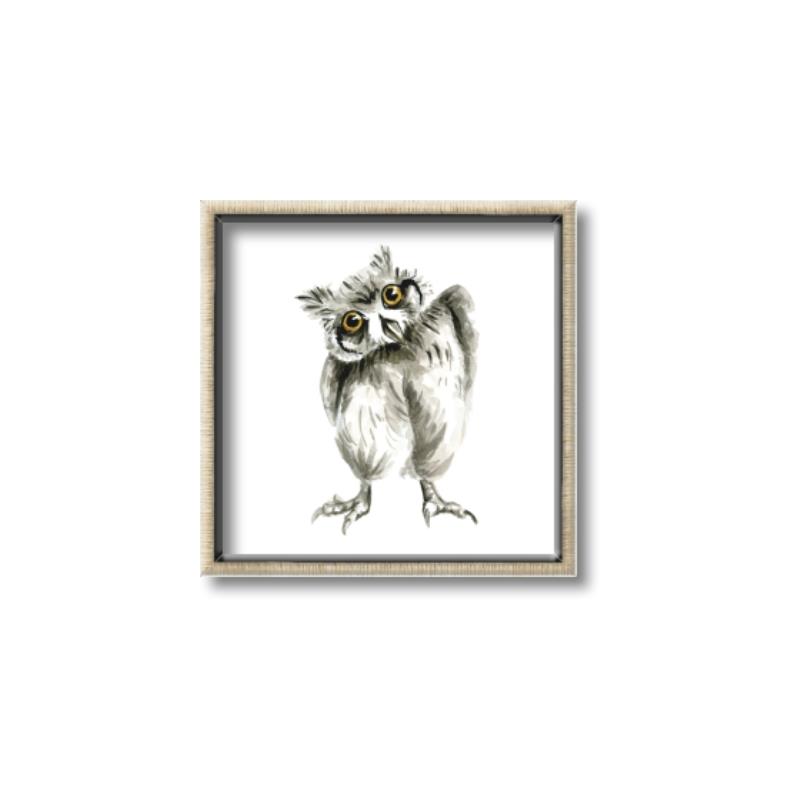 Picture of Woodland Owl _GroupedProduct_Square_Mini_ _GroupedProduct_Square_Canvas_Framed_