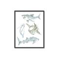 Picture of Sharks _GroupedProduct_Rectangle_Portrait_Mini_ _GroupedProduct_Rectangle_Portrait_Canvas_Framed_