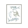 Picture of Sharks _GroupedProduct_Rectangle_Portrait_Mini_ _GroupedProduct_Rectangle_Portrait_Canvas_Framed_